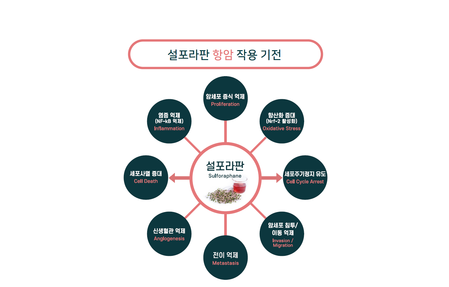 4753493bec79fb67d3992ff28c4be970_1735158507_0975.png