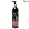 프로비다 뉴질랜드 직수입 종합 활력영양제 150ml(견묘겸용)