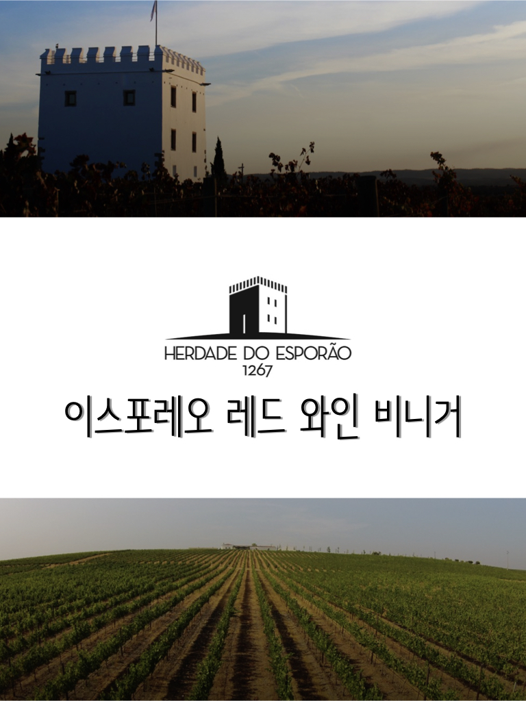 이스포레오 레드와인 비니거