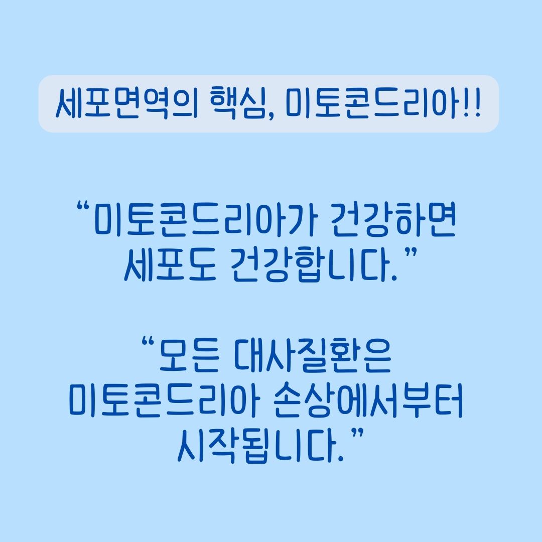 브로콜리새싹 추출 설포라판, 설포유 프라임 포뮬러