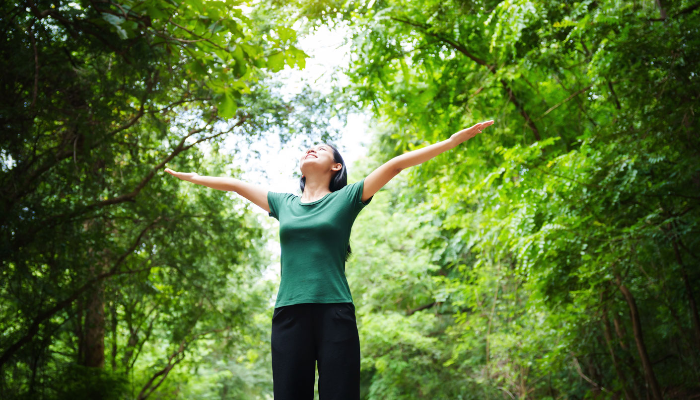 데이터 관리 솔루션
