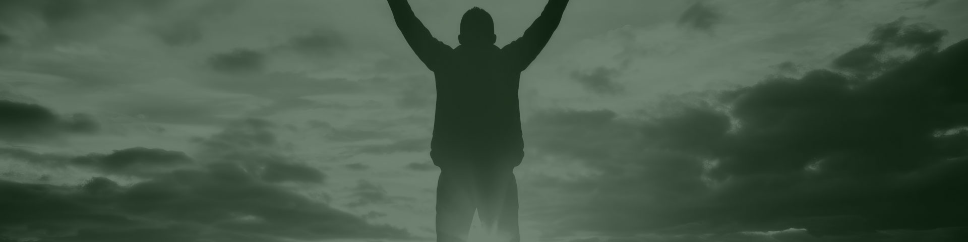 그누보드테마 티로그